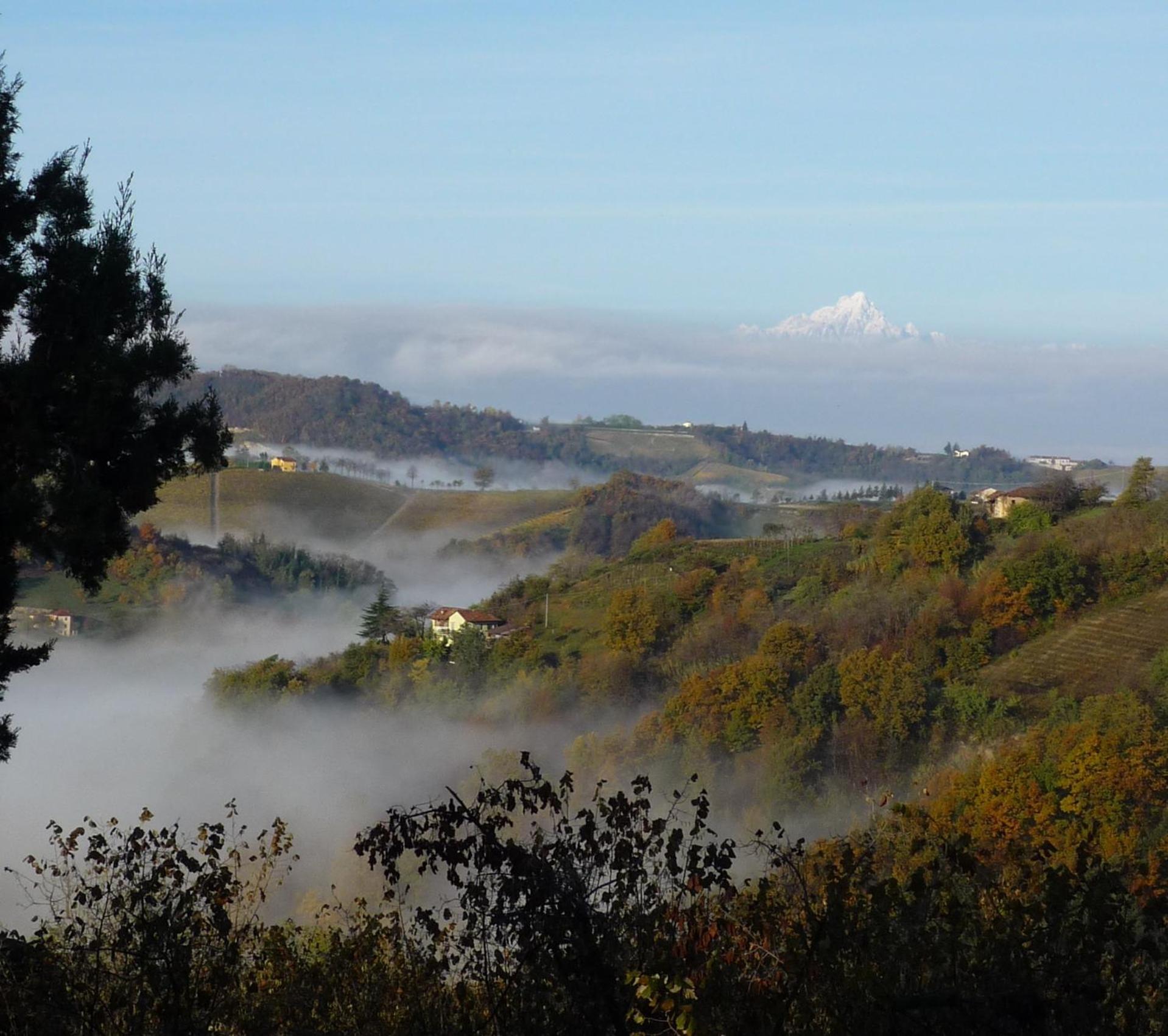 Cascina Sant'Eufemia Villa Sinio Exteriör bild